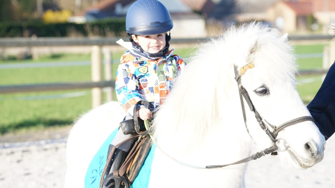 Chevaux